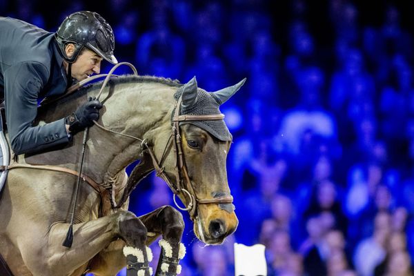 Bloody Gold: Riders Boost Their Egos by Destroying Horses' Health at Equestrian Contests - Trainers Bloody Gold: Riders Boost Their Egos by Destroying Horses' Health at Equestrian Contests - Trainers - Sputnik International