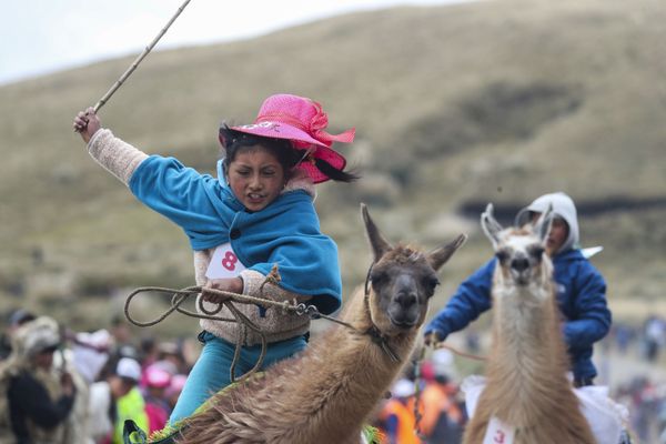 Milena Jami whips her llama to win the first place in the race for children of ages seven and eight at the Llanganates National Park, Ecuador, Saturday, Feb. 8, 2020. Milena Jami whips her llama to win the first place in the race for children of ages seven and eight at the Llanganates National Park, Ecuador, Saturday, Feb. 8, 2020. - Sputnik International