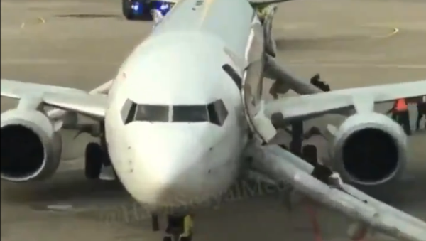 Pegasus Airlines Plane Evacuated After Wheel Caught Fire During Landing 15 February 2020. - Sputnik International