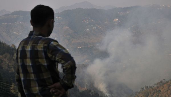 An Indian resident looks over jungle where a wildfire broke out near the northern hill town of Shimla in the Indian state of Himachal Pradesh on May 2, 2016 An Indian resident looks over jungle where a wildfire broke out near the northern hill town of Shimla in the Indian state of Himachal Pradesh on May 2, 2016 - Sputnik International