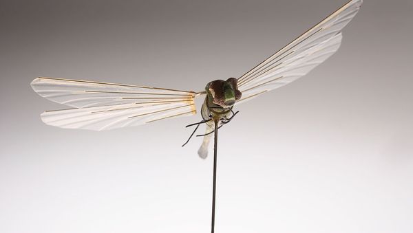 Developed by CIA’s Office of Research and Development in the 1970s, this micro Unmanned Aerial Vehicle (UAV) was the first flight of an insect-sized aerial vehicle (Insectothopter). It was an initiative to explore the concept of intelligence collection by miniaturized platforms - Sputnik International