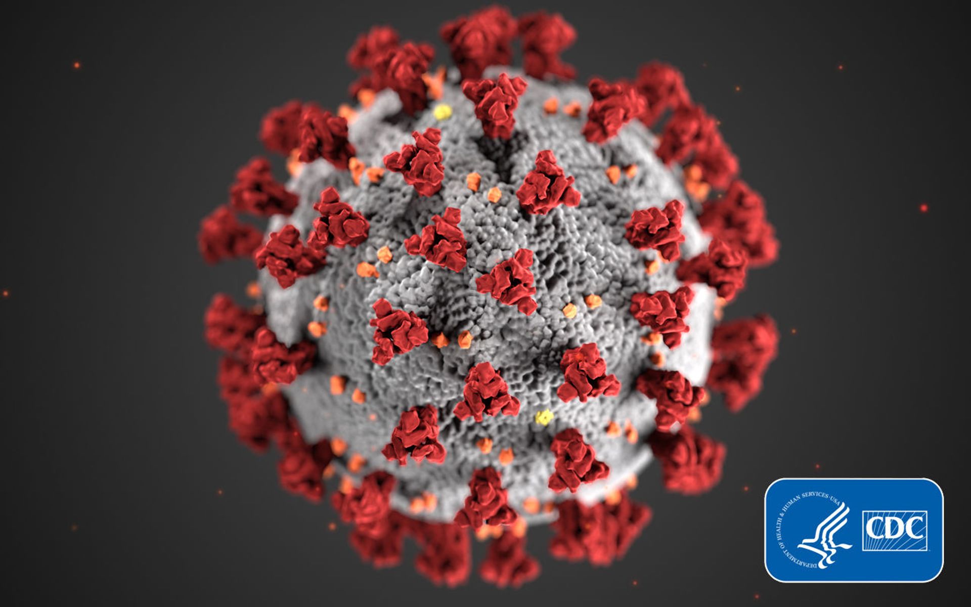 This illustration, created at the Centers for Disease Control and Prevention (CDC), reveals ultrastructural morphology exhibited by coronaviruses. Note the spikes that adorn the outer surface of the virus, which impart the look of a corona surrounding the virion, when viewed electron microscopically. A novel coronavirus, named Severe Acute Respiratory Syndrome coronavirus 2 (SARS-CoV-2), was identified as the cause of an outbreak of respiratory illness first detected in Wuhan, China in 2019. The illness caused by this virus has been named coronavirus disease 2019 (COVID-19). This illustration, created at the Centers for Disease Control and Prevention (CDC), reveals ultrastructural morphology exhibited by coronaviruses. Note the spikes that adorn the outer surface of the virus, which impart the look of a corona surrounding the virion, when viewed electron microscopically. A novel coronavirus, named Severe Acute Respiratory Syndrome coronavirus 2 (SARS-CoV-2), was identified as the cause of an outbreak of respiratory illness first detected in Wuhan, China in 2019. The illness caused by this virus has been named coronavirus disease 2019 (COVID-19). - Sputnik International, 1920, 07.09.2021