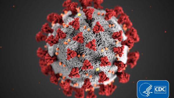 This illustration, created at the Centers for Disease Control and Prevention (CDC), reveals ultrastructural morphology exhibited by coronaviruses. Note the spikes that adorn the outer surface of the virus, which impart the look of a corona surrounding the virion, when viewed electron microscopically. A novel coronavirus, named Severe Acute Respiratory Syndrome coronavirus 2 (SARS-CoV-2), was identified as the cause of an outbreak of respiratory illness first detected in Wuhan, China in 2019. The illness caused by this virus has been named coronavirus disease 2019 (COVID-19). - Sputnik International