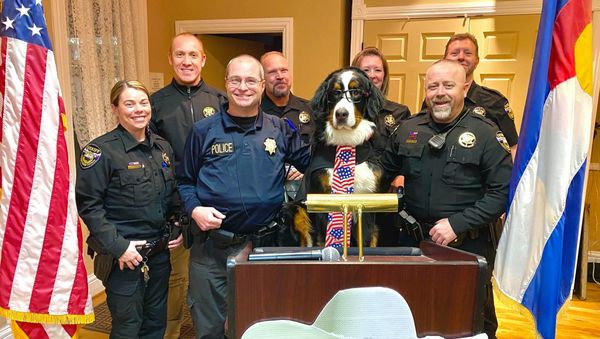 Parker the Snow Dog was officially sworn in as the Honorary Mayor of Visit Georgetown, Colorado February 18th ~ It was a packed house Tuesday Night at the Georgetown Community Center for Parker's Inauguration Ceremony - Sputnik International