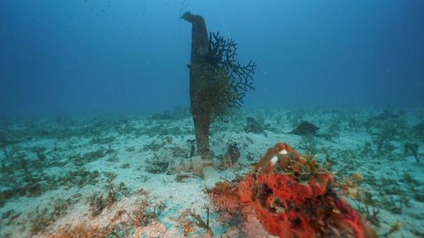 Photos: Three US Naval Attack Aircraft Recovered from World War II Battle Site Photos: Three US Naval Attack Aircraft Recovered from World War II Battle Site - Sputnik International