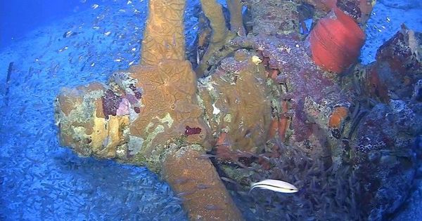 Photos: Three US Naval Attack Aircraft Recovered from World War II Battle Site Photos: Three US Naval Attack Aircraft Recovered from World War II Battle Site - Sputnik International