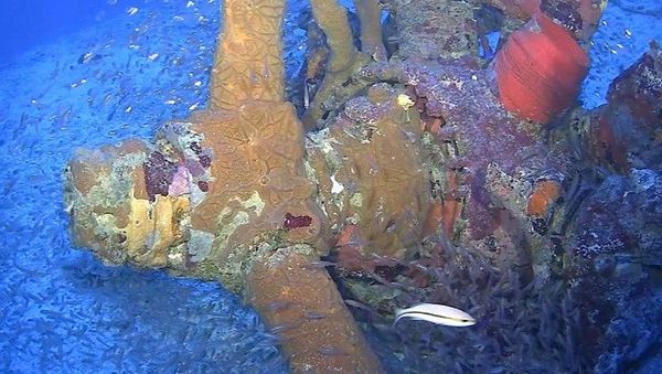 Propeller from a TBM/F-1 Avenger torpedo bomber in Chuuk Lagoon, as photographed by a remotely operated vehicle. - Sputnik International