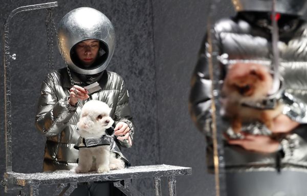 Models and dogs present creations from the Moncler Autumn/Winter 2020 collection during Milan Fashion Week in Milan, Italy February 19, 2020.  - Sputnik International