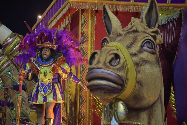 A reveller of the Barroca Zona Sul samba school performs during the first night of carnival in Sao Paulo Brazil at the city's Sambadrome in the early hours of February 22, 2020. A reveller of the Barroca Zona Sul samba school performs during the first night of carnival in Sao Paulo Brazil at the city's Sambadrome in the early hours of February 22, 2020. - Sputnik International