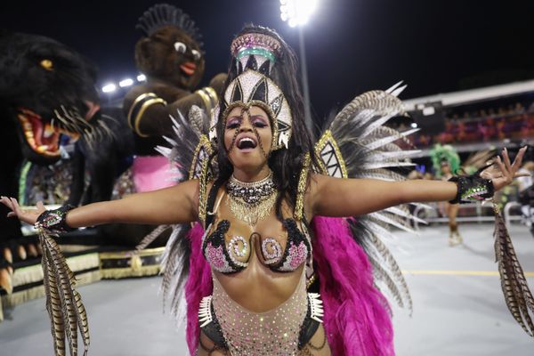 A dancer from the Barroca Zona Sul samba school performs during a carnival parade in Sao Paulo, Brazil, Friday, Feb. 21, 2020. A dancer from the Barroca Zona Sul samba school performs during a carnival parade in Sao Paulo, Brazil, Friday, Feb. 21, 2020. - Sputnik International