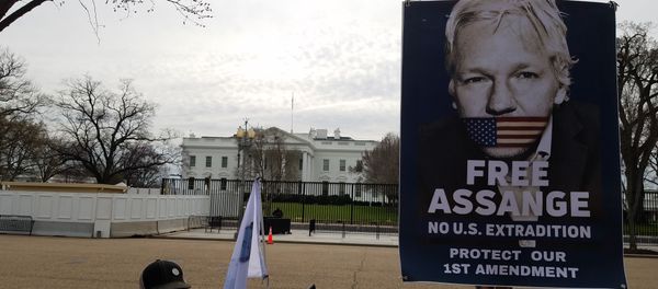 A 'Free Assange' placard outside the White House held by protesters opposing Julian Assange's extradition to the US A 'Free Assange' placard outside the White House held by protesters opposing Julian Assange's extradition to the US - Sputnik International