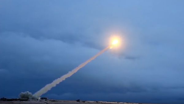 Tests of the Russian Burevestnik nuclear-powered cruise missile - Sputnik International