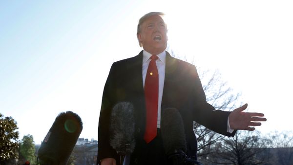 US President Donald Trump speaks to the media on the South Lawn of the White House in Washington, US, before his departure to India, 23 February 2020.  - Sputnik International