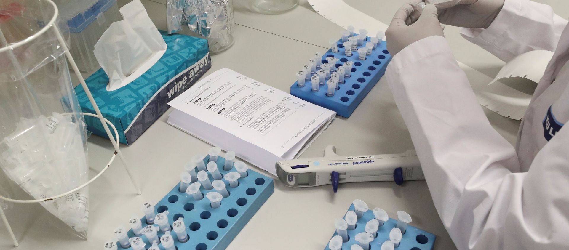 A scientist works in a bio-safety level 2 laboratory at The Rega Institute for Medical Research at the KU Leuven that are currently conducting researches to find treatment against coronavirus in Leuven, Belgium 26 February 2020.   - Sputnik International, 1920, 16.06.2021