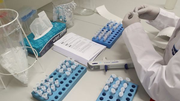 A scientist works in a bio-safety level 2 laboratory at The Rega Institute for Medical Research at the KU Leuven that are currently conducting researches to find treatment against coronavirus in Leuven, Belgium 26 February 2020.   - Sputnik International