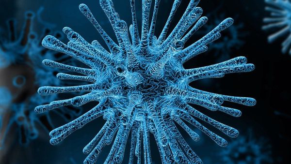 Coronavirus Coronavirus - Sputnik International