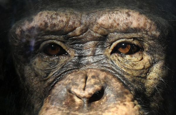 This Week in Pictures:  22 - 28 February - Sputnik International