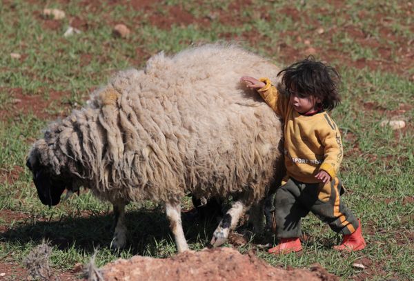 This Week in Pictures: 22 - 28 February - Sputnik International