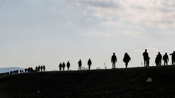 Migrants walk along a road, parallel to the border line, to reach Greece as they are pictured near Karpuzlu village of the Turkish border city of Edirne, Turkey, March 1, 2020. Migrants walk along a road, parallel to the border line, to reach Greece as they are pictured near Karpuzlu village of the Turkish border city of Edirne, Turkey, March 1, 2020. - Sputnik International