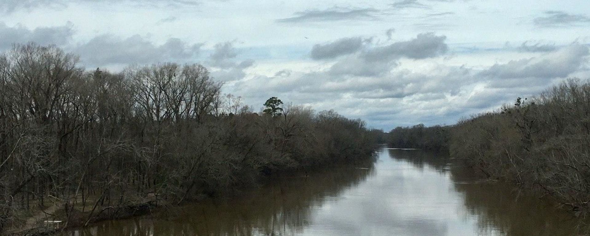 Cape Fear River in North Carolina - Sputnik International, 1920, 03.03.2020
