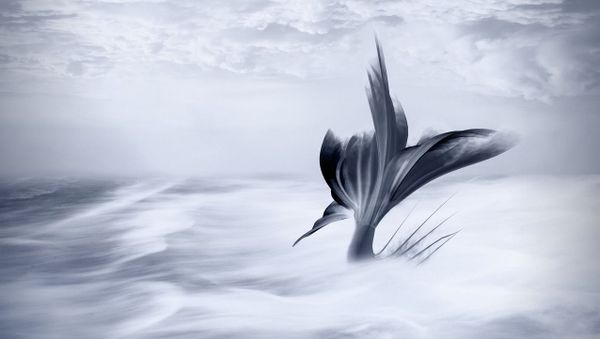 Mermaid  - Sputnik International