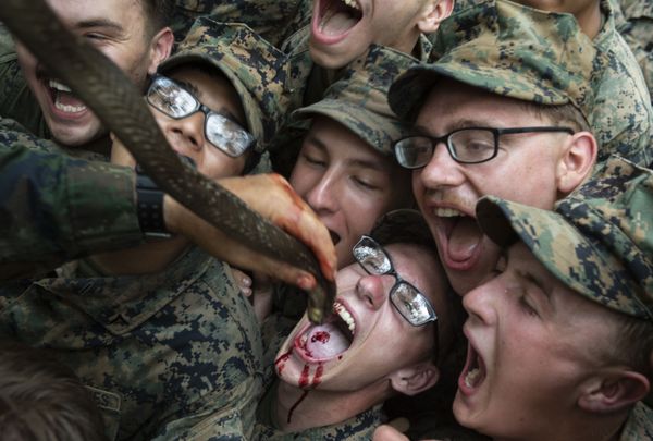Video: PETA Confronts US Marine Corps, Demands End to ‘Crude’ Animal Killing in Gold Cobra Drills Video: PETA Confronts US Marine Corps, Demands End to ‘Crude’ Animal Killing in Gold Cobra Drills - Sputnik International