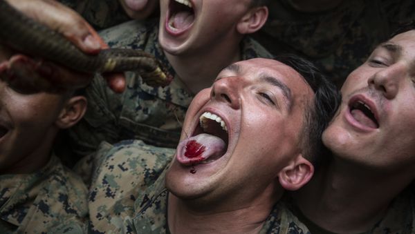 U.S. Marines with Alpha Company, Battalion Landing Team, 1st Battalion, 5th Marine Regiment, drink the blood of a king cobra as part of jungle survival training during exercise Cobra Gold 2020 at Ban Chan Khrem, Chanthaburi, Kingdom of Thailand, March 2, 2020. - Sputnik International