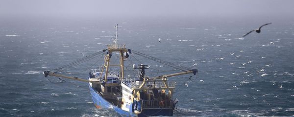 A fishing boat at work in the English Channel, off the southern coast of England, Saturday Feb. 1, 2020 A fishing boat at work in the English Channel, off the southern coast of England, Saturday Feb. 1, 2020 - Sputnik International