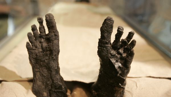 In this photo taken on Nov. 4, 2007, the feet of King Tutankhamun are seen at the moving of the linen-wrapped mummy of King Tut from his stone sarcophagus in his underground tomb in the famed Valley of the Kings  in Luxor, Egypt - Sputnik International
