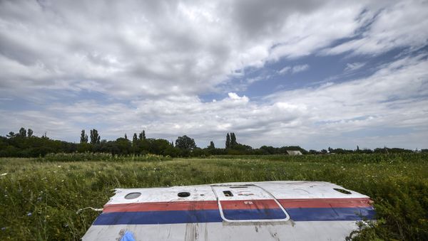 In this file photo taken on 20 July 2014 a piece of the wreckage of the Malaysia Airlines flight MH17 is pictured in a field near the village of Grabove, in the region of Donetsk. In this file photo taken on 20 July 2014 a piece of the wreckage of the Malaysia Airlines flight MH17 is pictured in a field near the village of Grabove, in the region of Donetsk. - Sputnik International