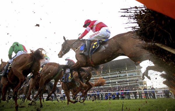 The Sputnik Intelligent Punter’s Guide to the 2020 Cheltenham Festival The Sputnik Intelligent Punter’s Guide to the 2020 Cheltenham Festival - Sputnik International