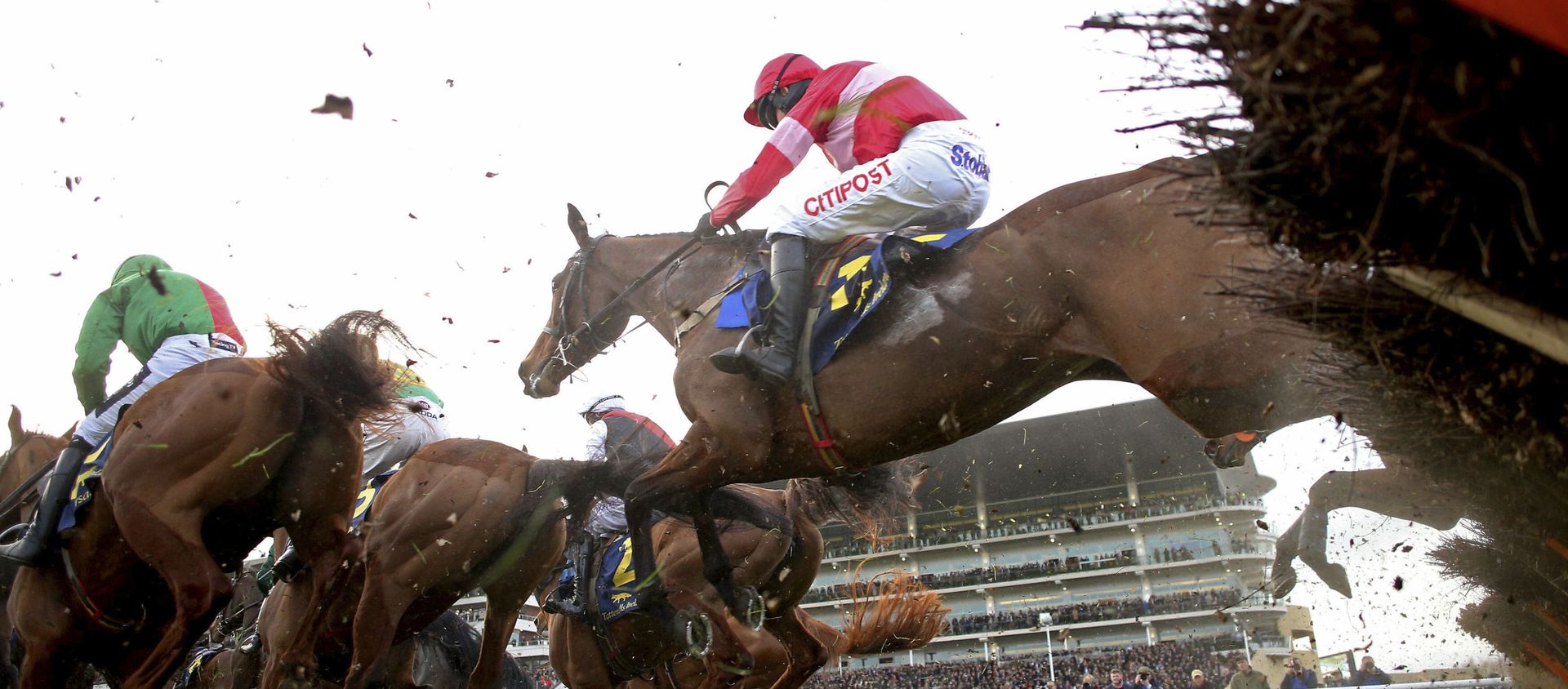 Eglantine Du Seuil ridden by Noel Fehily clears a fence on their way to victory in the National Hunt Breeders Mares' Novices' Hurdle event during the 2019 Cheltenham Festival at Cheltenham, England, Thursday March 14, 2019. - Sputnik International, 1920, 12.03.2020