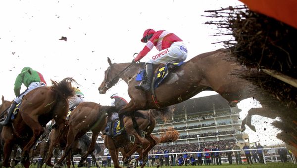 Eglantine Du Seuil ridden by Noel Fehily clears a fence on their way to victory in the National Hunt Breeders Mares' Novices' Hurdle event during the 2019 Cheltenham Festival at Cheltenham, England, Thursday March 14, 2019. - Sputnik International