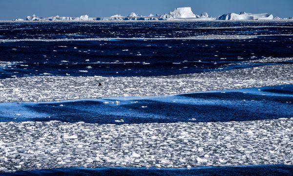 South Pole Journey: A Close-Up of Antarctica From the Deck of a Research Vessel - Sputnik International