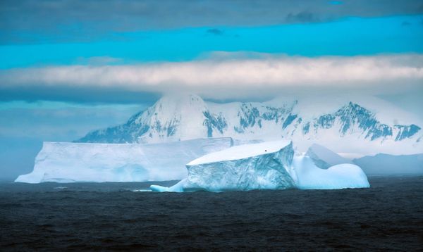 South Pole Journey: A Close-Up of Antarctica From the Deck of a Research Vessel - Sputnik International