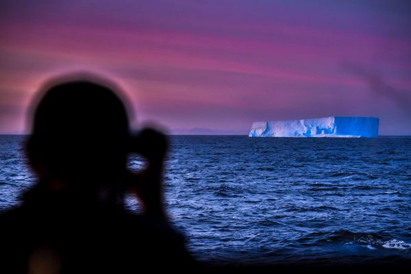 South Pole Journey: A Close-Up of Antarctica From the Deck of a Research Vessel - Sputnik International