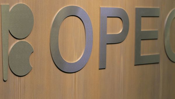 The logo of the OPEC (Organization of the Petroleum Exporting Countries) is seen on the eve of the 164th OPEC meeting in Vienna, Austria on December 3, 2013. - Sputnik International