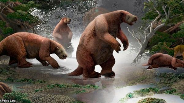 Palaeontologists Offer New Clues to One-Ton 'South-American Yeti' That Went Extinct 10,000 Years Ago - Sputnik International