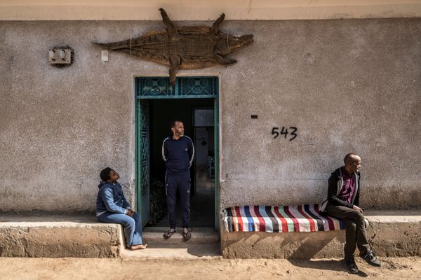 Give Me a Smile, Crocodile: Reptiles From Egyptian Village Live Side by Side With People - Sputnik International
