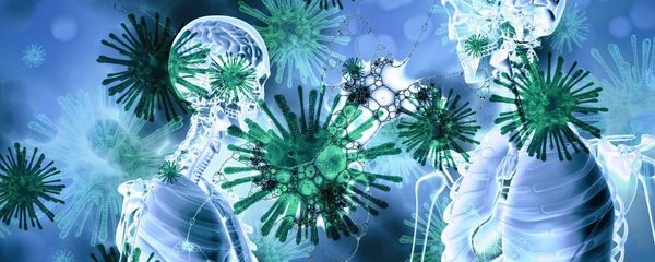 Coronavirus Coronavirus - Sputnik International