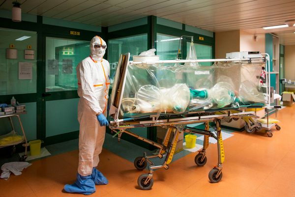 Aspiration to Obtain Herd Immunity From Covid-19 'Is Nonsense' – Professor Aspiration to Obtain Herd Immunity From Covid-19 'Is Nonsense' – Professor - Sputnik International