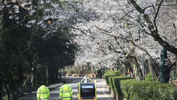 Security personnel walk next to a 5G enabled autonomous vehicle, installed with a camera filming blooming cherry blossoms for an online live-streaming session, inside the closed Wuhan University, in Wuhan, China, March 17, 2020 Security personnel walk next to a 5G enabled autonomous vehicle, installed with a camera filming blooming cherry blossoms for an online live-streaming session, inside the closed Wuhan University, in Wuhan, China, March 17, 2020 - Sputnik International