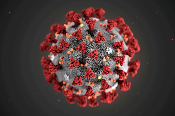 US Orders to Utilise Country's 16 Supercomputers to Find Cure for Coronavirus US Orders to Utilise Country's 16 Supercomputers to Find Cure for Coronavirus - Sputnik International