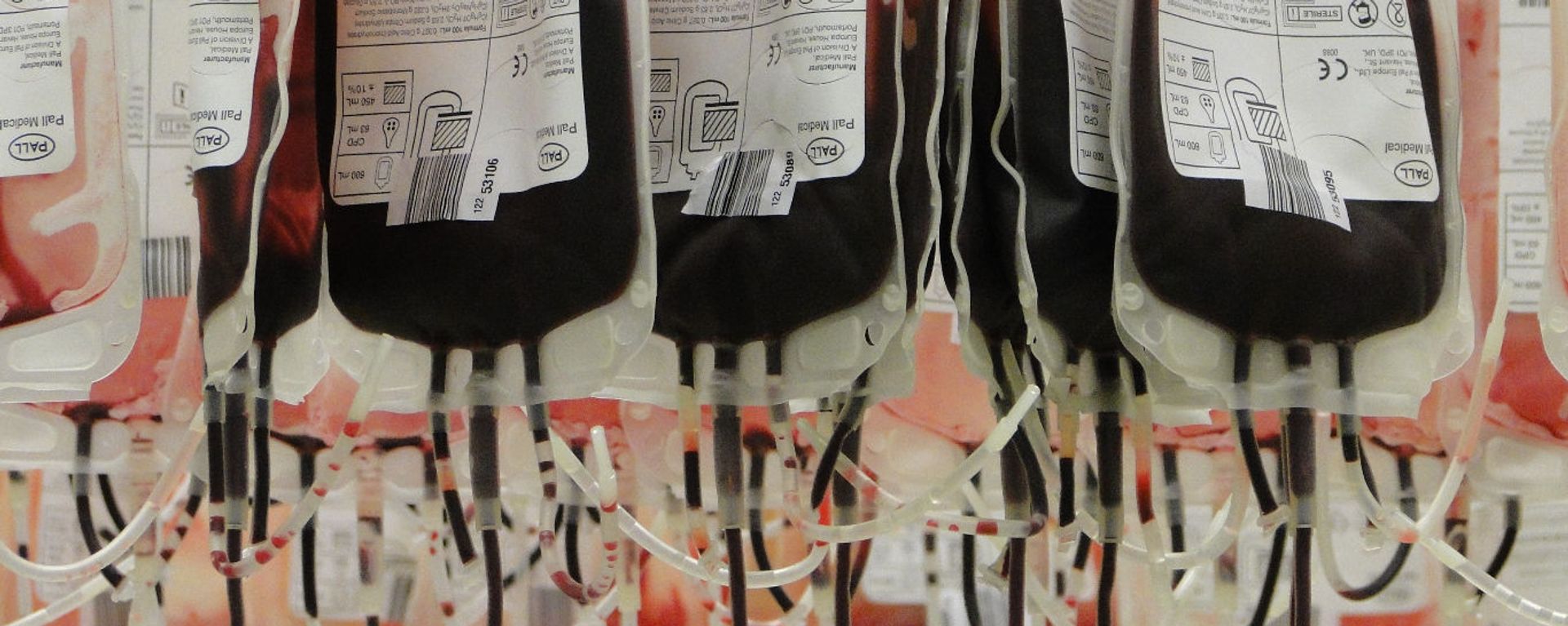 Blood plasma bags Blood plasma bags - Sputnik International, 1920, 21.02.2022