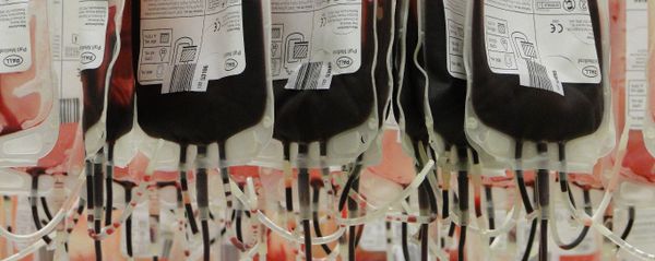 Blood plasma bags Blood plasma bags - Sputnik International