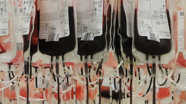 Blood plasma bags Blood plasma bags - Sputnik International
