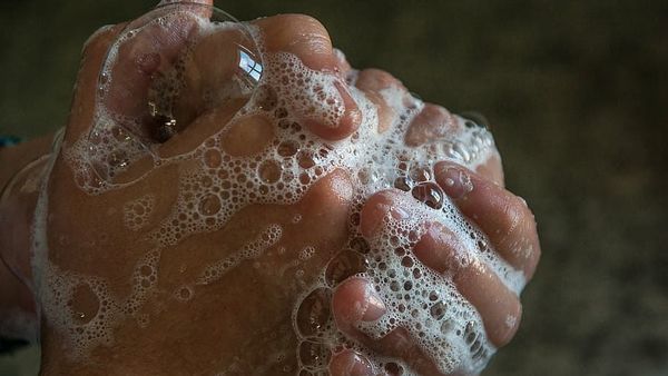 hands washing hands washing - Sputnik International