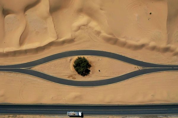 This Week in Pictures: 14-20 March This Week in Pictures: 14-20 March - Sputnik International