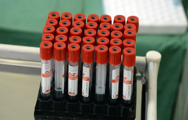 Russia's Coronavirus Peak Still Ahead - Putin - Sputnik International
