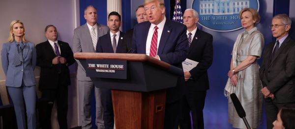 US President Donald Trump addresses his administration's daily coronavirus task force briefing  - Sputnik International